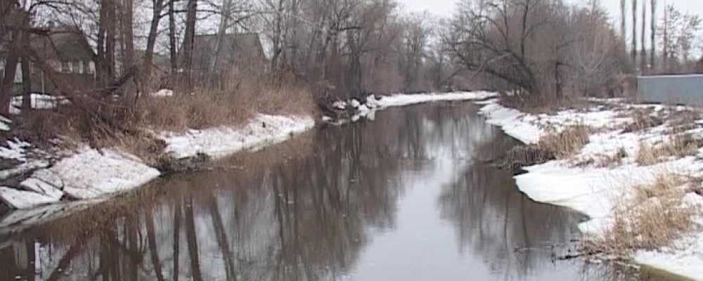 Десятки сёл Воронежской области рискуют оказаться под водой из-за раннего паводка (ВИДЕО)