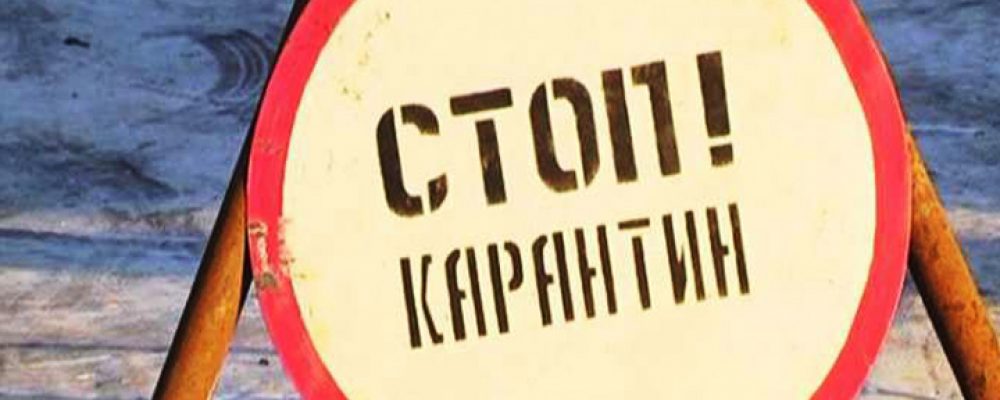 В нескольких районах Воронежской области снят карантин по бешенству